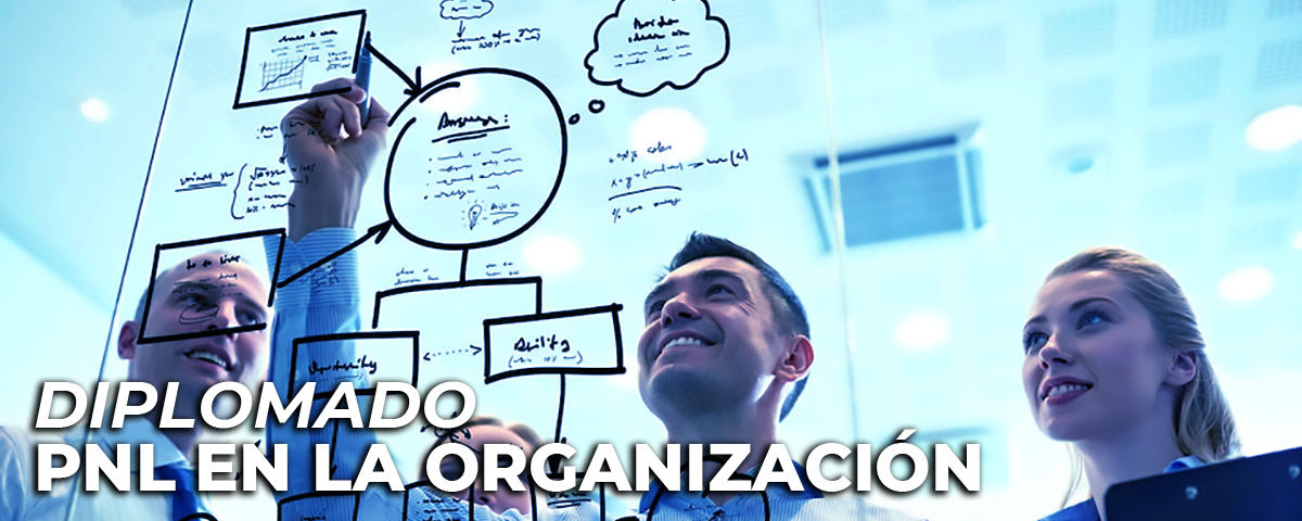 Administracion de empresas